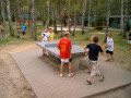 2006 Sommer